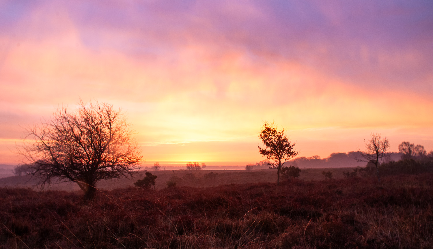 Stormy Turneresque sunrise over Yew Tree Heath, New Forest
