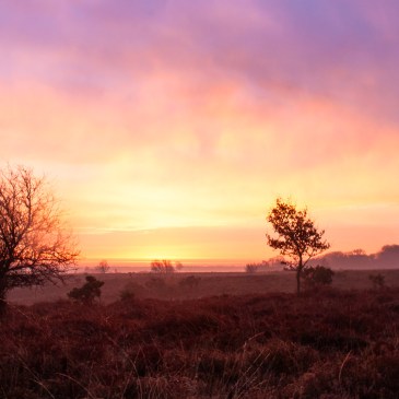 Stormy Turneresque sunrise over Yew Tree Heath, New Forest