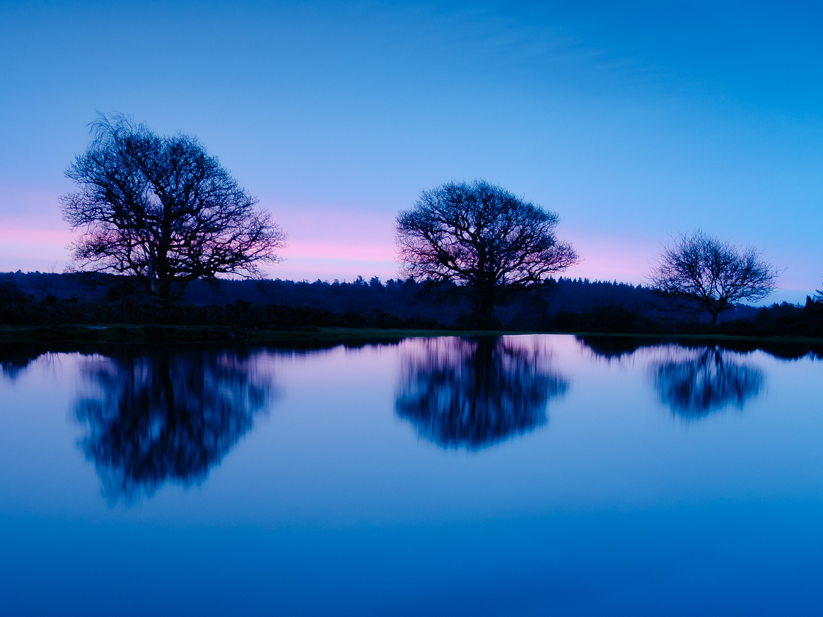 Mogshade Pond, New Forest, sunrise with deep blue sky and water and red glow on horizon