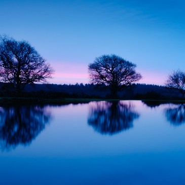 Mogshade Pond, New Forest, sunrise with deep blue sky and water and red glow on horizon